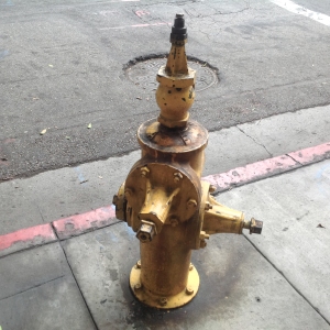 DTLA Fire Hydrant