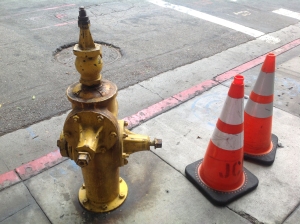 DTLA Hydrant and Cones